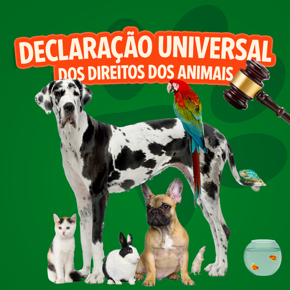 Direitos dos Animais - Direitos dos Animais