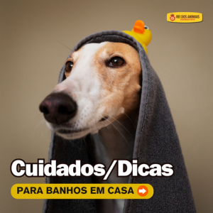 Cuidados/Dicas para Banhos em Casa